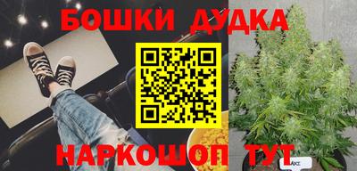 apvp Обнинск