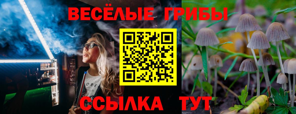 Псилоцибиновые грибы MAGIC MUSHROOMS  купить закладку  Галлюциногенные грибы мицелий  Рыбинск  Вход с VPN 